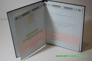 Купить диплом воспитателя детского сада в Краснодаре